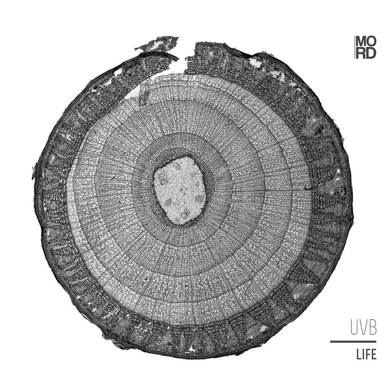 UVB - Rebirth - UVB Mix