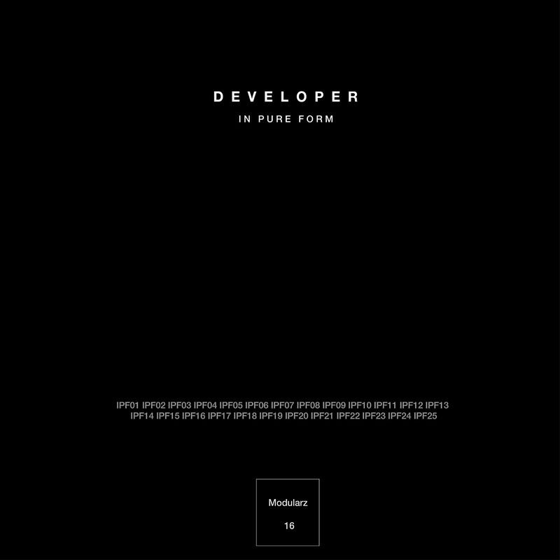 Developer - In Pure Form 07 - Reggy van Oers Mix