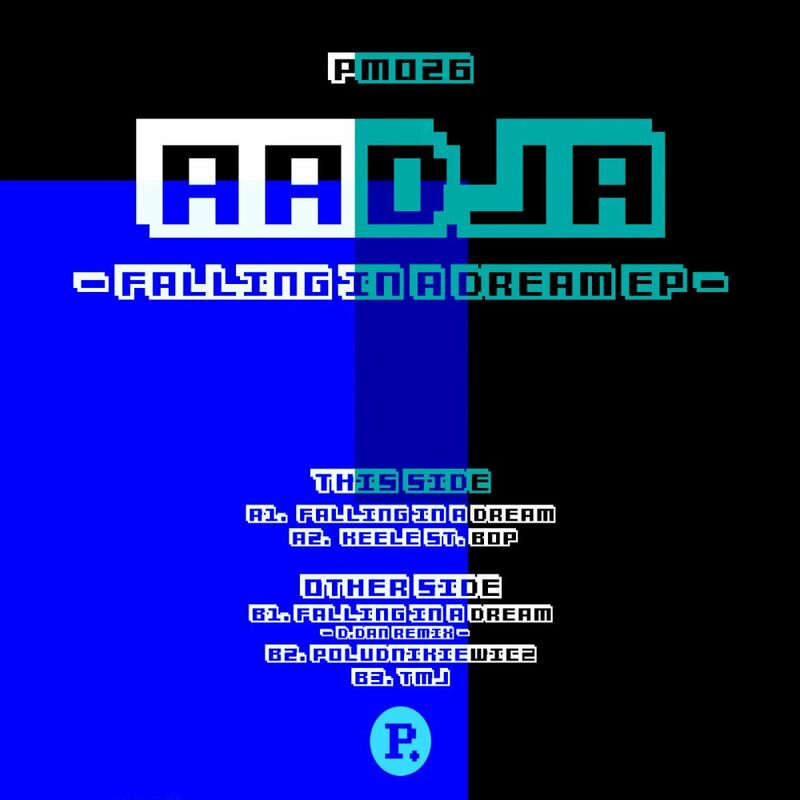 AADJA - Falling In A Dream (D.Dan Remix) - Sev Dah Mix