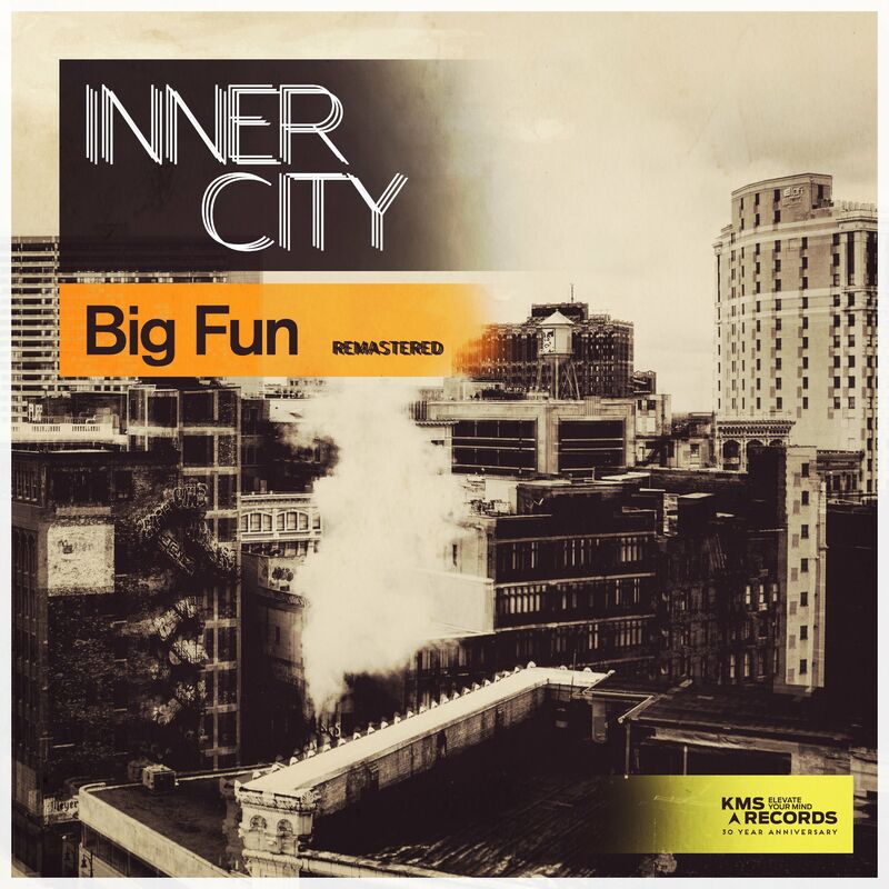 Inner City - Big Fun (Remastered) - DVS1’s Most underrated Techno Tracks That Deserve