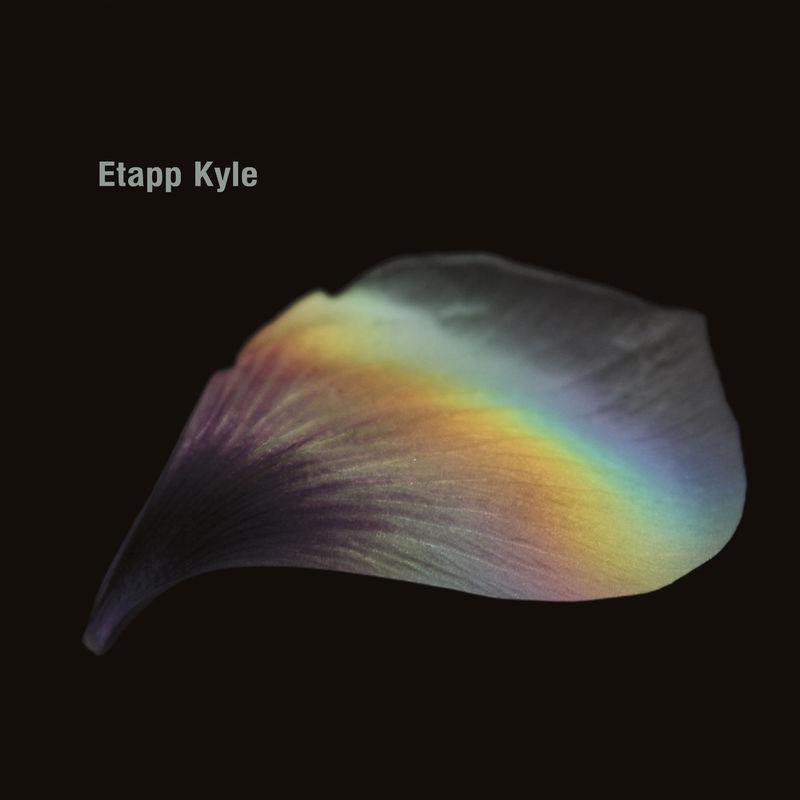 Etapp Kyle - Quantum - Developer Mix